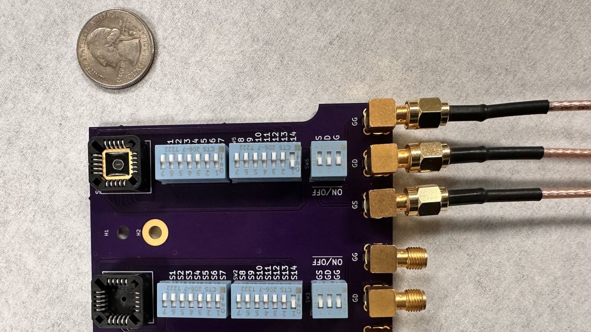 A new ‘electronic tongue’ can monitor food for safety issues